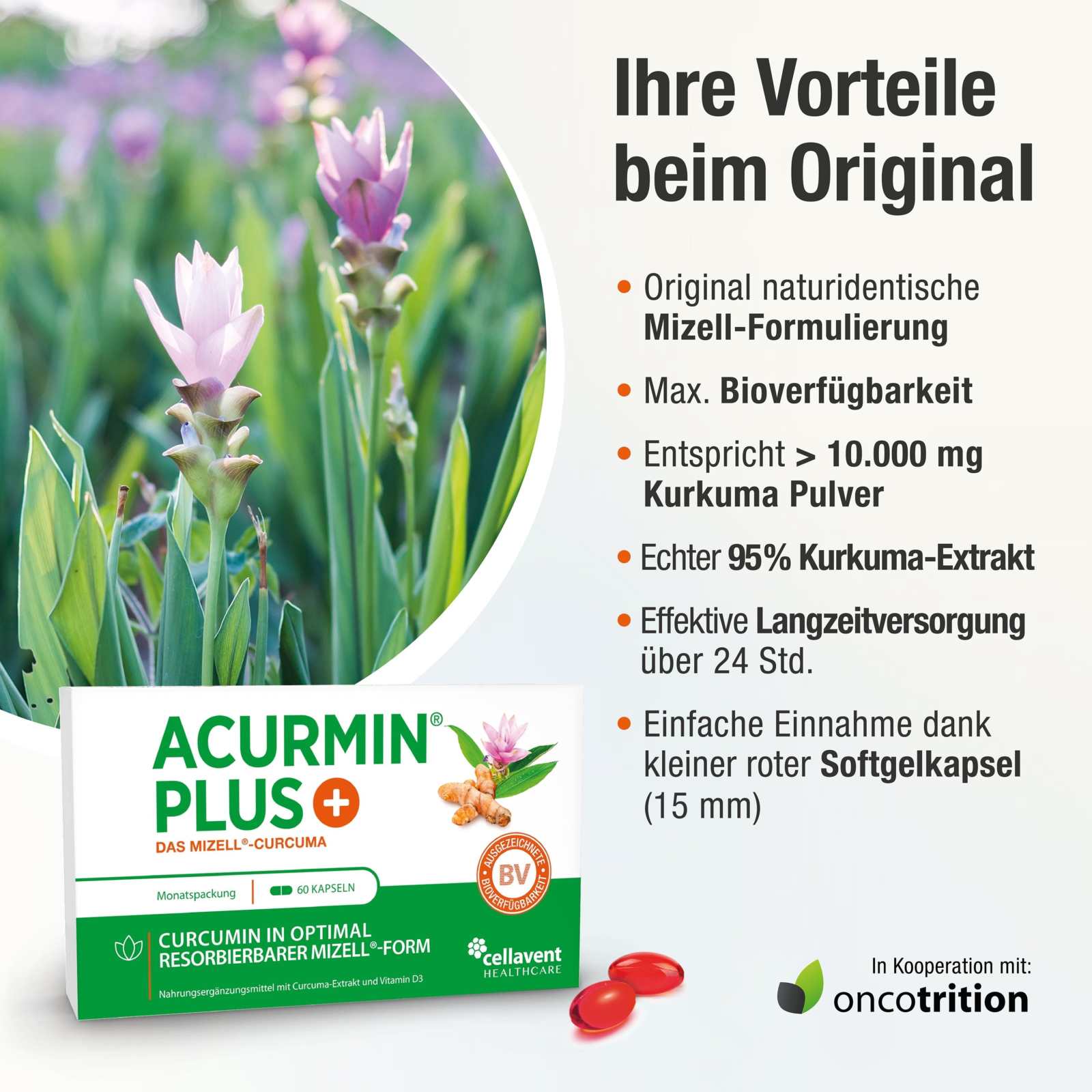Mizell Kurkuma Kapseln mit hoher Bioverfügbarkeit – Acurmin PLUS - Cellavent Healthcare