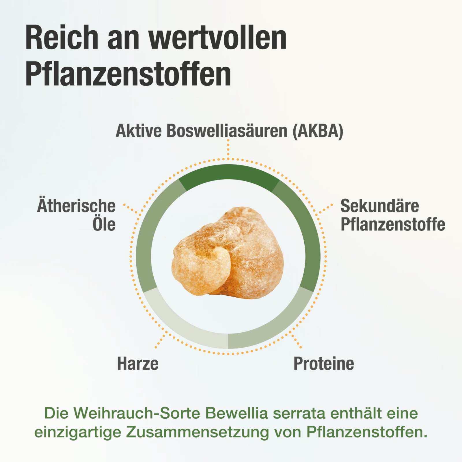 Mizell Weihrauch Kapseln - Bewelia PLUS - Cellavent Healthcare