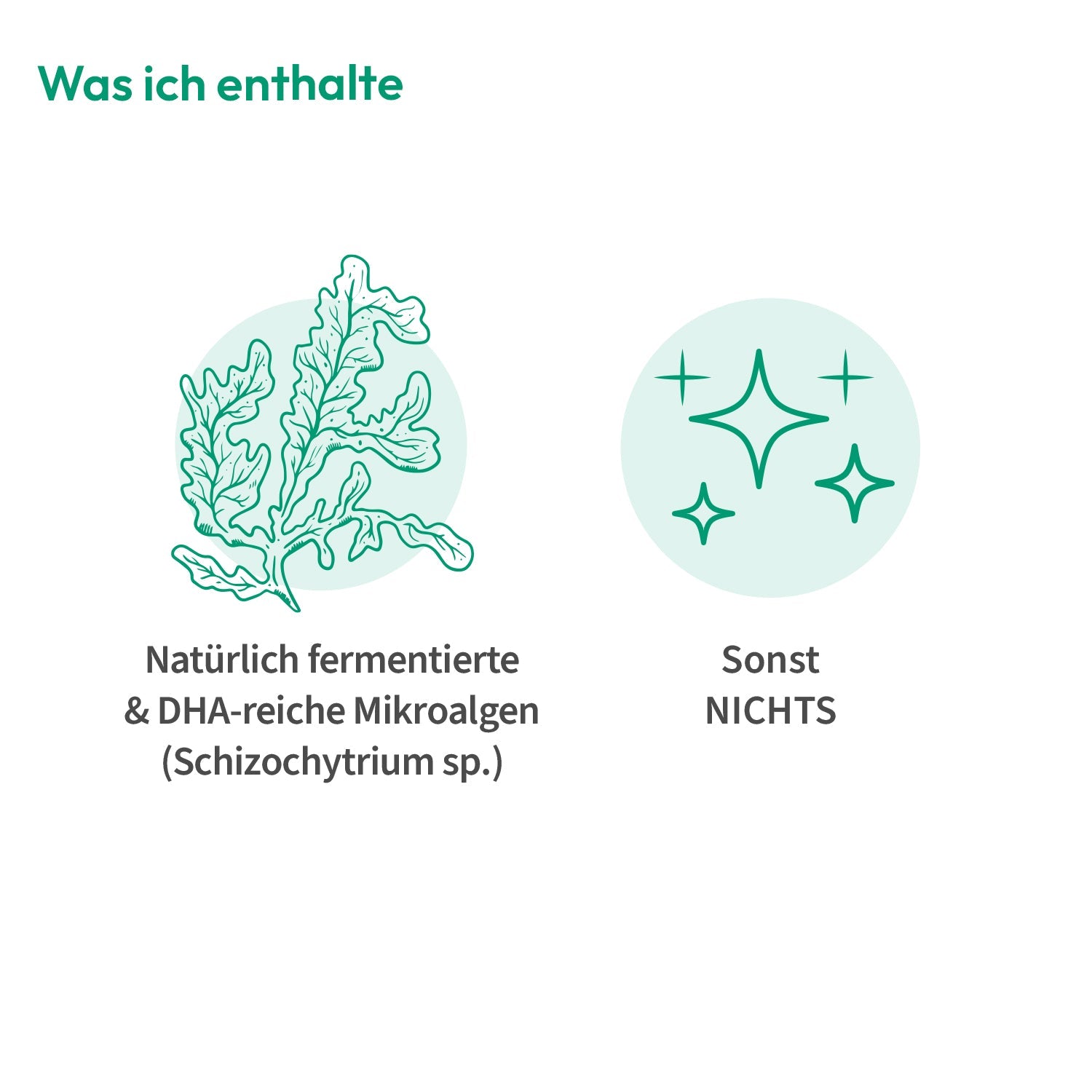 Omega - 3 Algenöl Kinder Tropfen - Cellavent Healthcare
