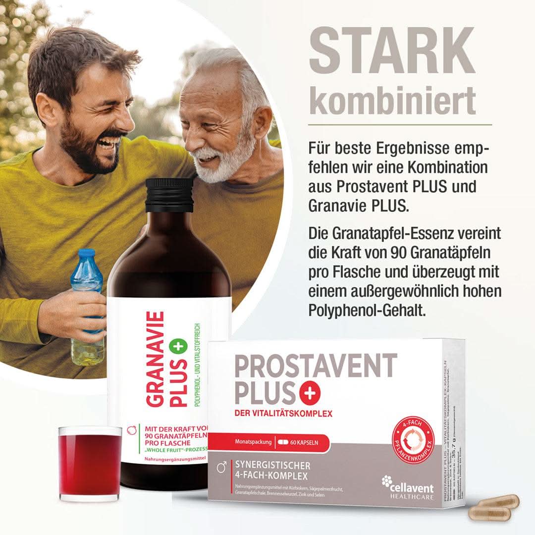 Prostata Komplex Kapseln - Prostavent PLUS - Cellavent Healthcare