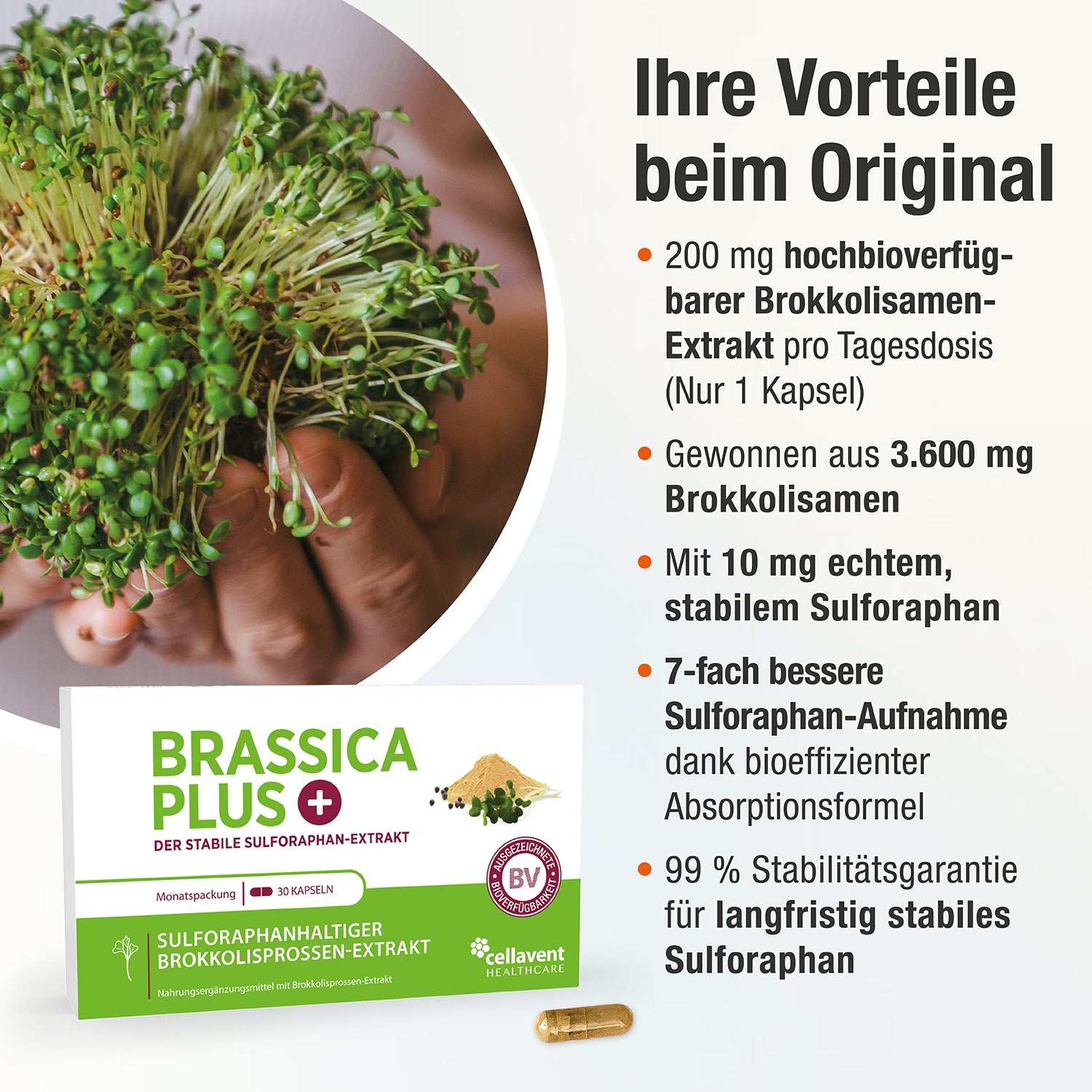 Sulforaphan Brokkoli Kapseln - Brassica PLUS - Cellavent Healthcare