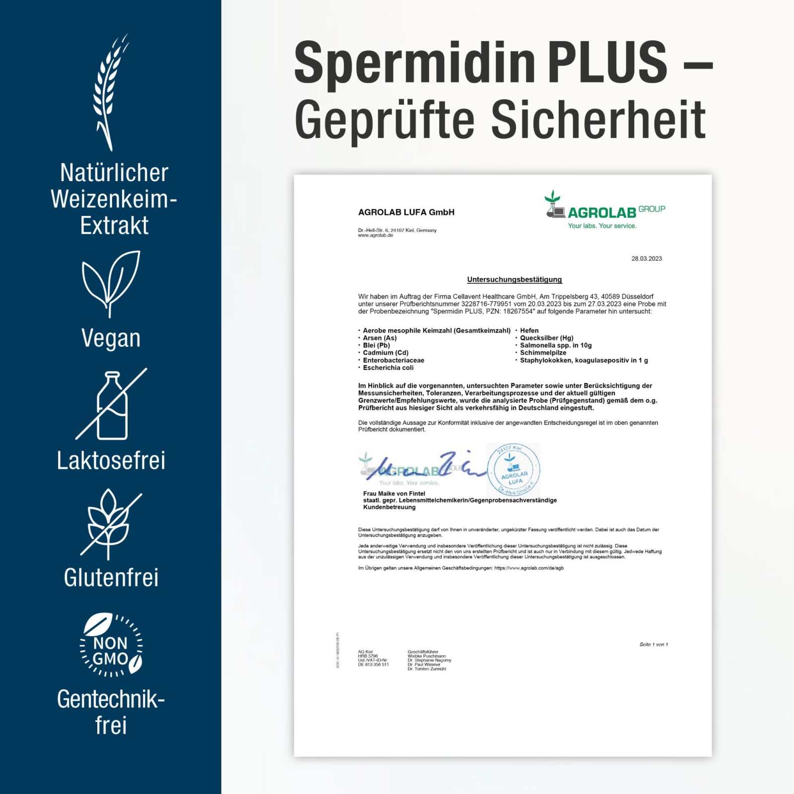 Weizenkeimextrakt - Kapseln mit 2 - fach Komplex - Spermidin PLUS - Cellavent Healthcare