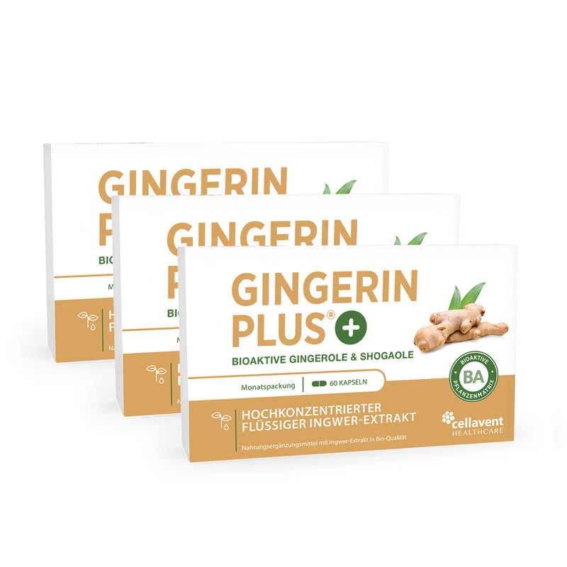 Drei hintereinander stehende Gingerin PLUS Verpackungen mit insgesamt 180 hochkonzentrierten Ingwer-Extrakt-Kapseln.