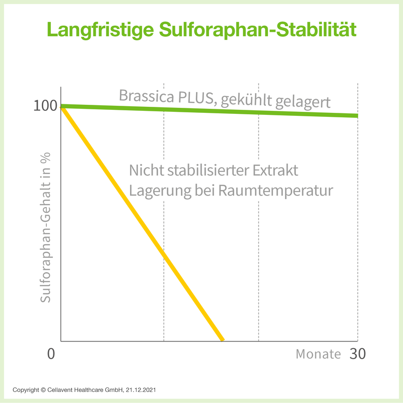 Es ist ein Liniendigramm, welches die langfristige Sulforaphan-Stabilität von Brassica PLUS (30 Monate) zu herkömmlichen (14 Monate) vergleicht.