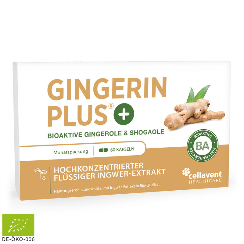 Bioaktiver Ingwer-Extrakt - Gingerin® PLUS