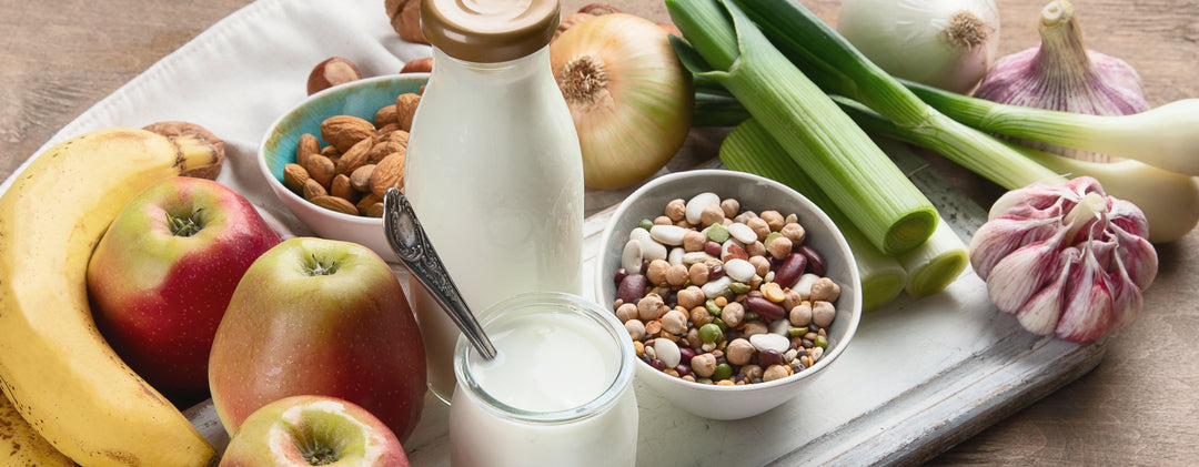 What are prebiotics?