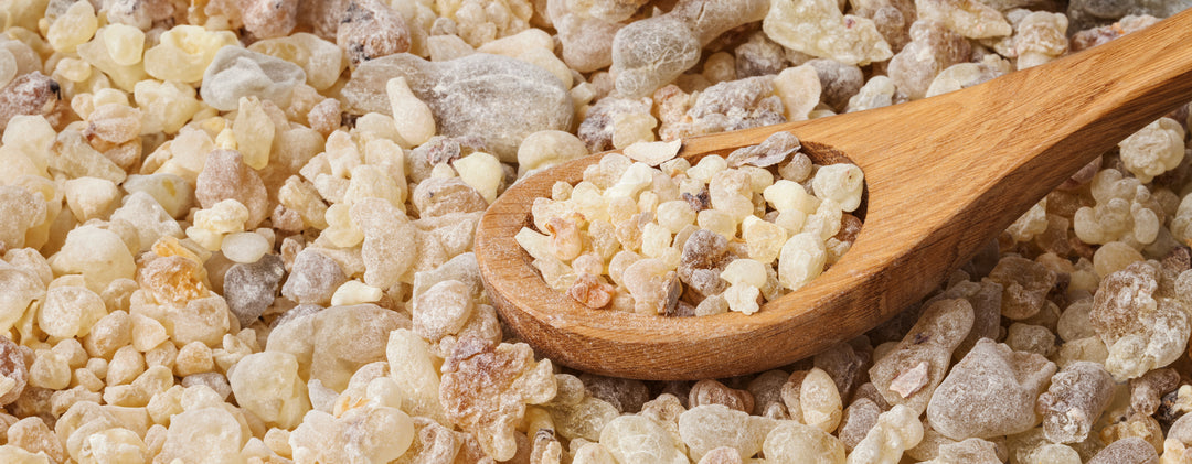 Frankincense - Tradition, origin and health benefits of the resin