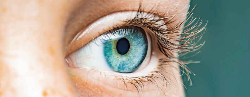 Carotinoide sind spielen für die Augengesundheit eine wichtige Rolle
