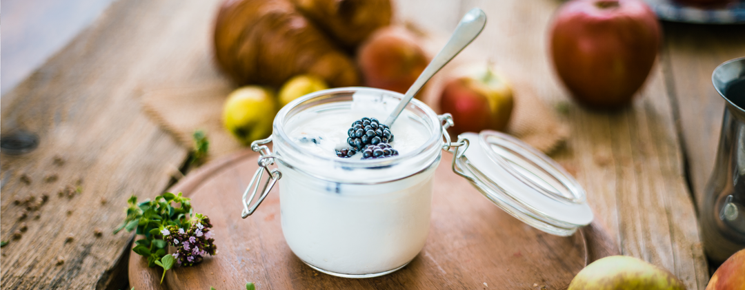 What are probiotics?