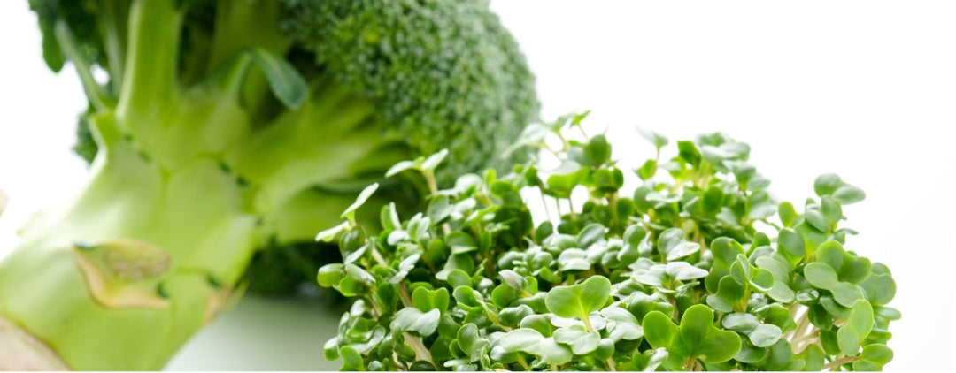 Why is broccoli so healthy? (Special preparation method)