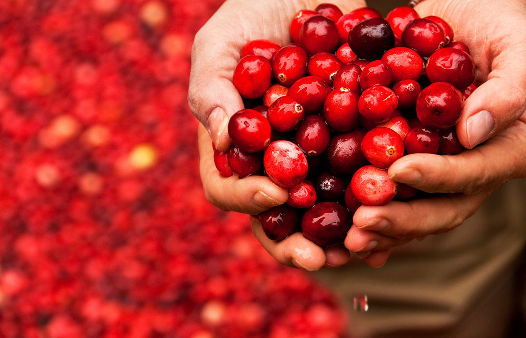 Cranberry - The versatile berry for health and well-being 