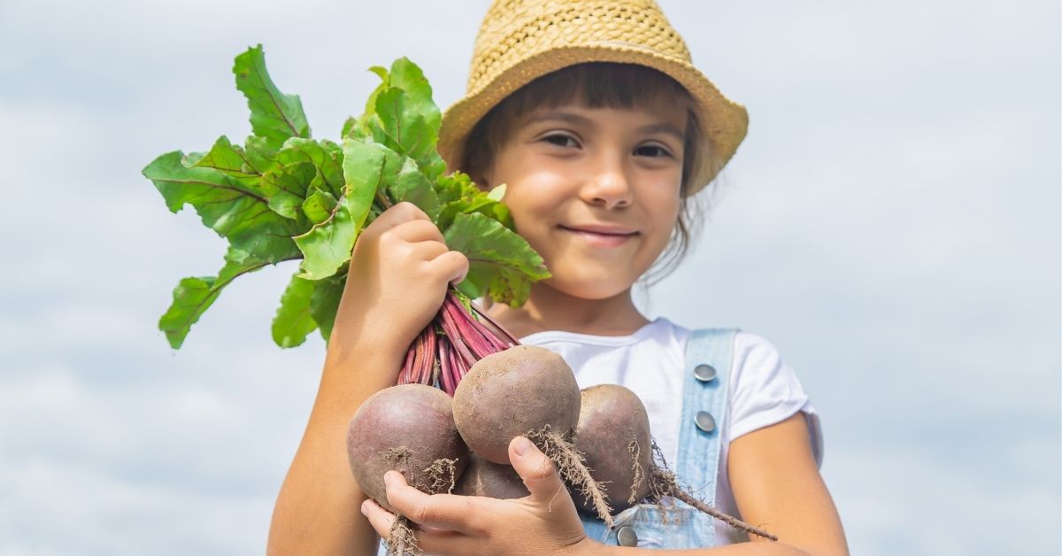 Mädchen hält mehrere frische Rote-Bete-Knollen in den Händen – symbolisiert kindgerechte Ernährung und Einführung von Roter Bete trotz Oxalsäure.