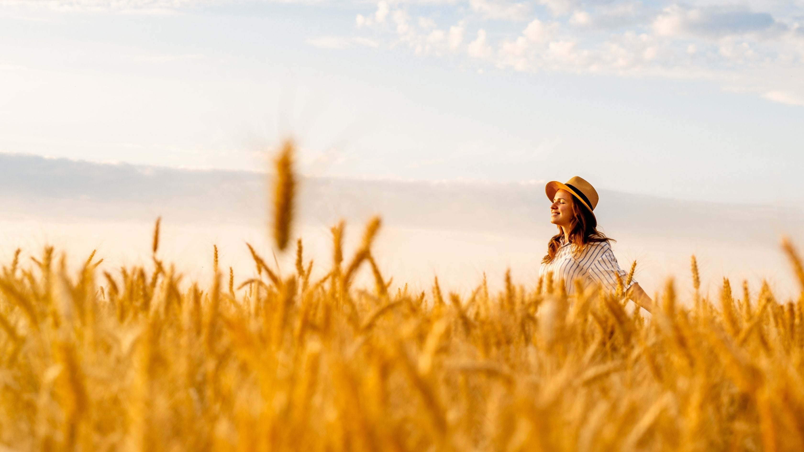 Spermidin Wirkung: Weizenkeime für  Vitalität & Longevity - Cellavent Healthcare
