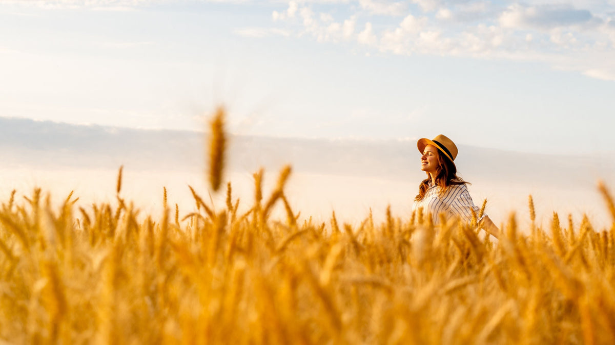 Spermidin Wirkung: Weizenkeime für  Vitalität & Longevity - Cellavent Healthcare