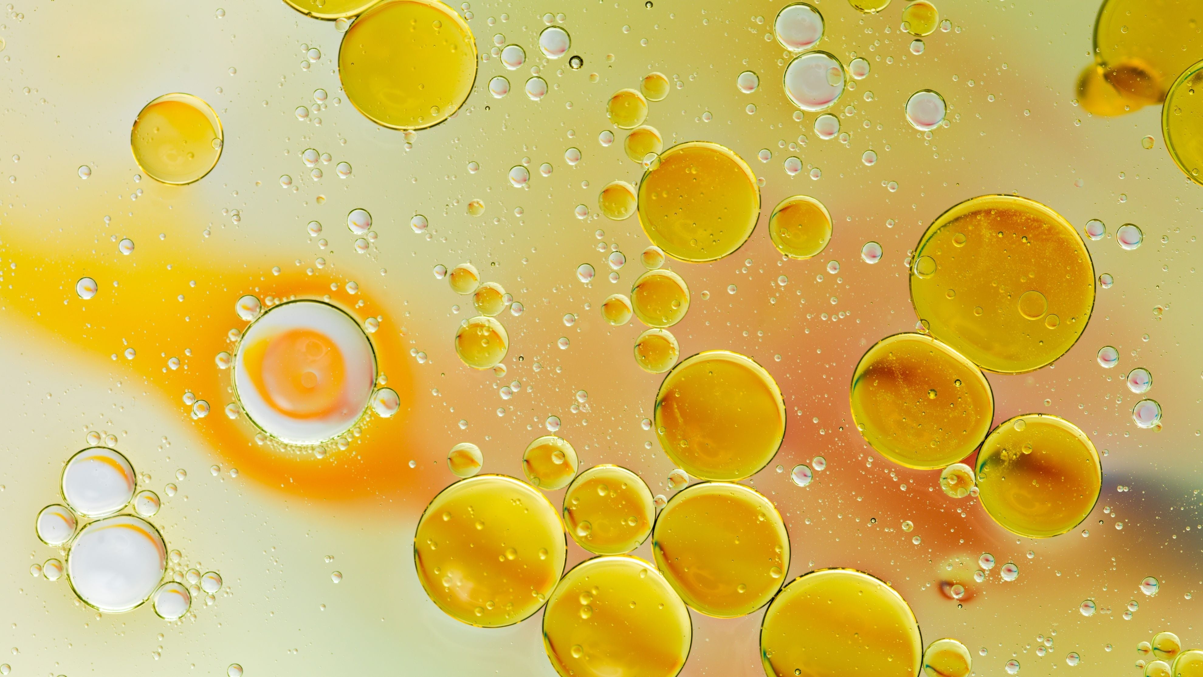 Kurkuma & Curcumin – Kapseln, Tabletten & Pulver