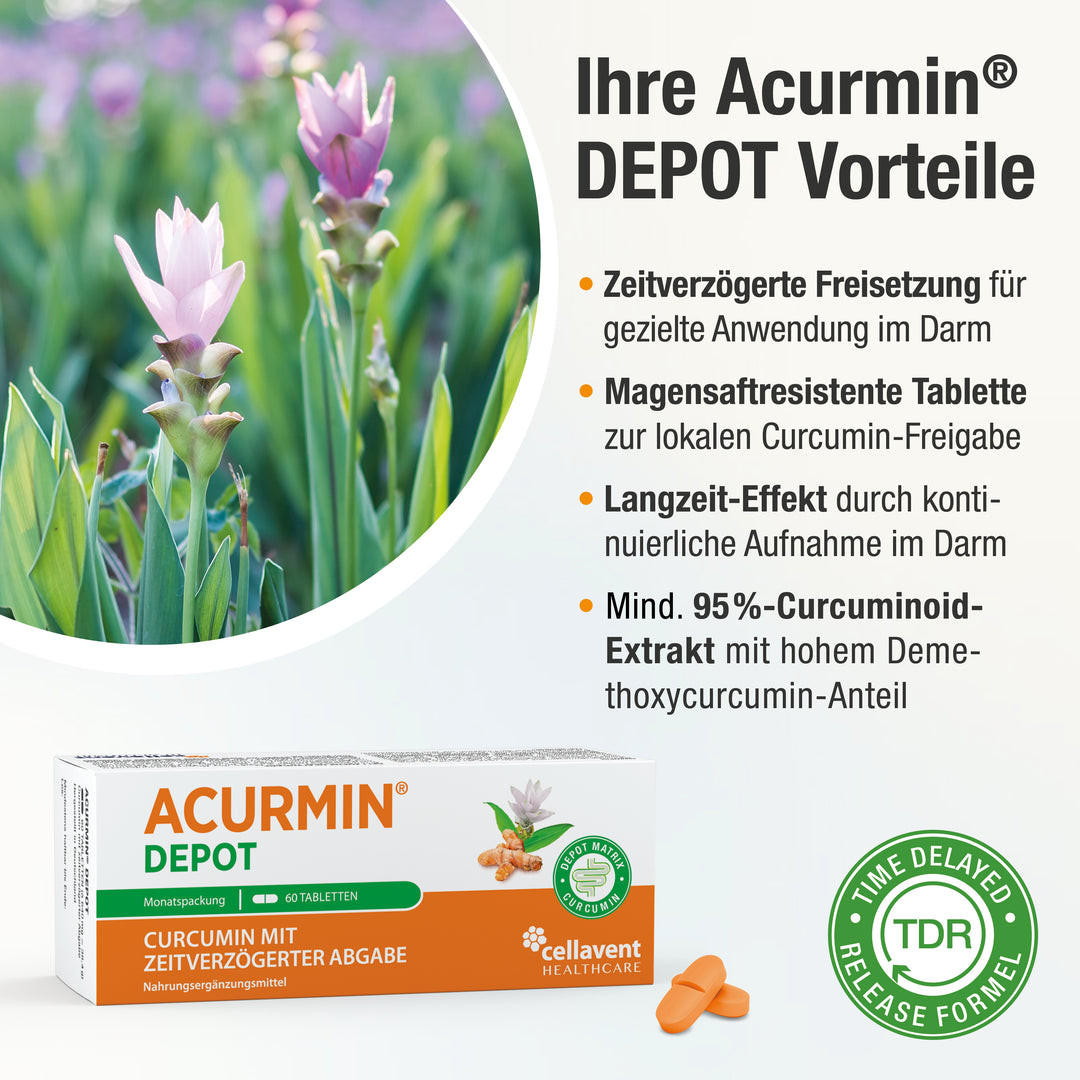 Kurkuma-Pflanze und die Verpackung Acurmin Depot mit zwei orangenen Tabletten, daneben ein Siegel mit Time Delayed Release Formel (TDR)