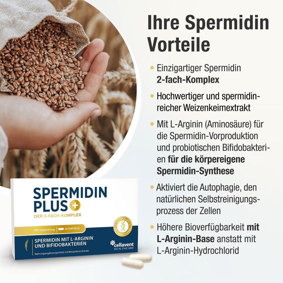 Spermidin PLUS Vorteile mit einer Menge von Weizenkeimen im Hintergrund und er Verpackung und weiße Kapseln von Spermidin PLUS im Vordergrund