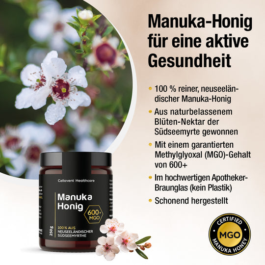 Manuka-Honig für eine aktive Gesundheit, darunter 5 Vorteile des Manuka-Honig 600+ mit Abbildung des Glases, Manuka-Blüten und Siegel.