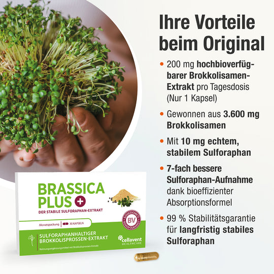 Ihre Vorteile beim Original - Aufzählung von 5 Vorteilen von Brassica PLUS, links unten eine Brassica PLUS Verpackung mit Kapseln und Siegeln