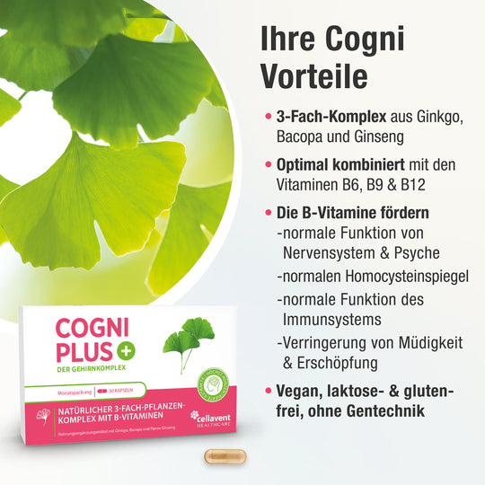 Cogni PLUS Vorteile mit Ginkgo Blättern im Hintergrund. Im Vordergrund die Verpackung von Cogni PLUS und eine Kapsel