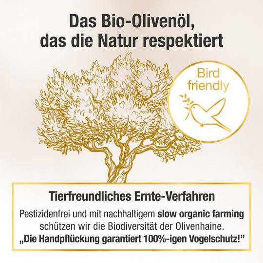 Gezeichneter Olivenbaum mit einer Erklärung zum tierfreundlichen Ernte-Verfahren des gesunden Olivenöls von Oliv PLUS.