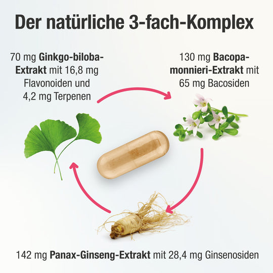 Cogni PLUS 3 fach Komplex mit pflanzlichen Inhaltsstoffen