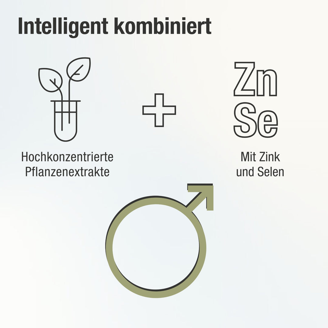 Intelligent kombiniert mit hochkonzentrierten Pflanzenextrakten, Zink und Selen.