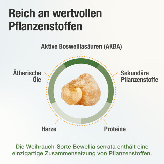 In der Mitte befindet sich ein Weihrauchharz, während außenrum die Pflanzenstoffe aufgeführt werden.