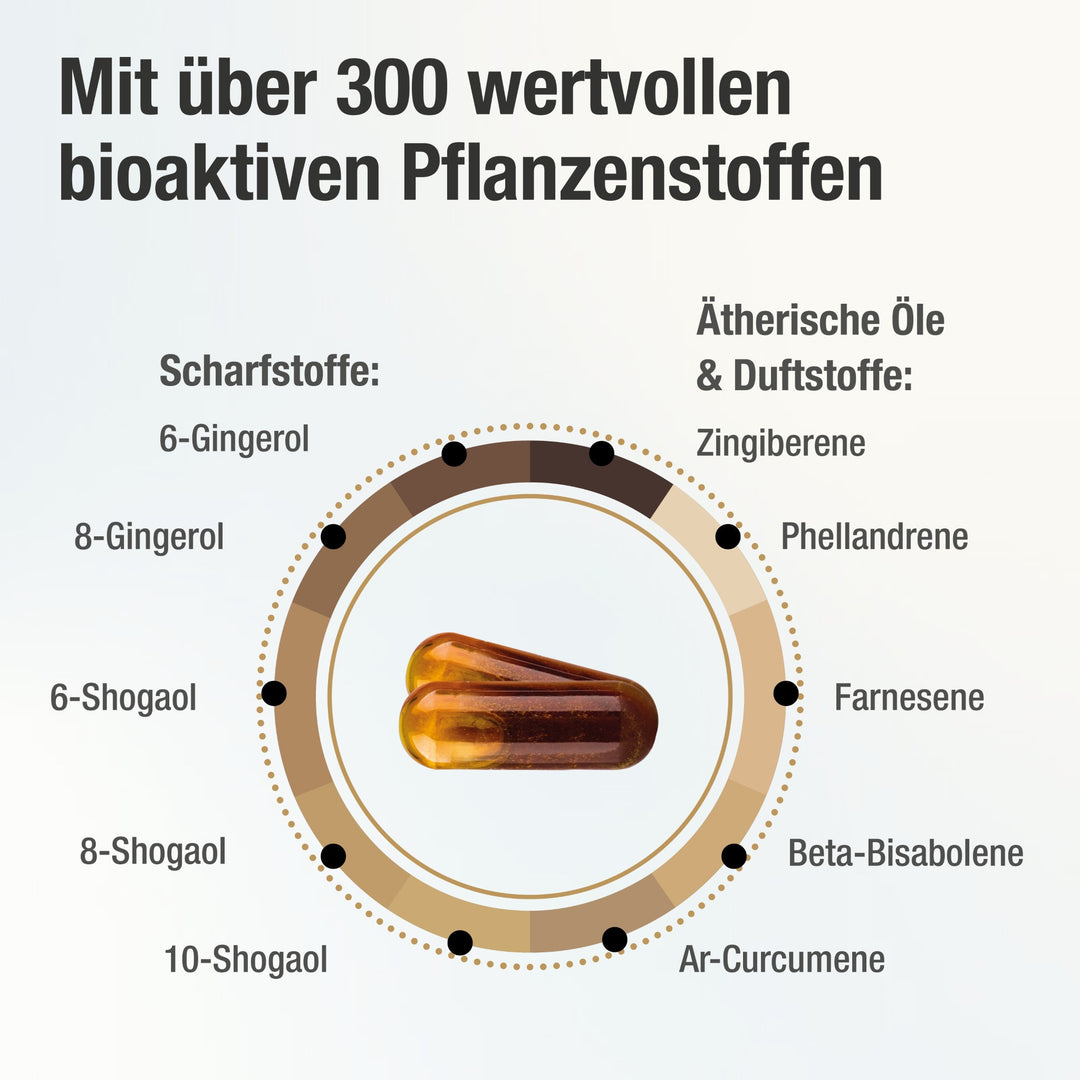 Darstellung der über 300 wertvollen bioktiven Pflanzenstoffe im Gingerin PLUS Ingwerextrakt.