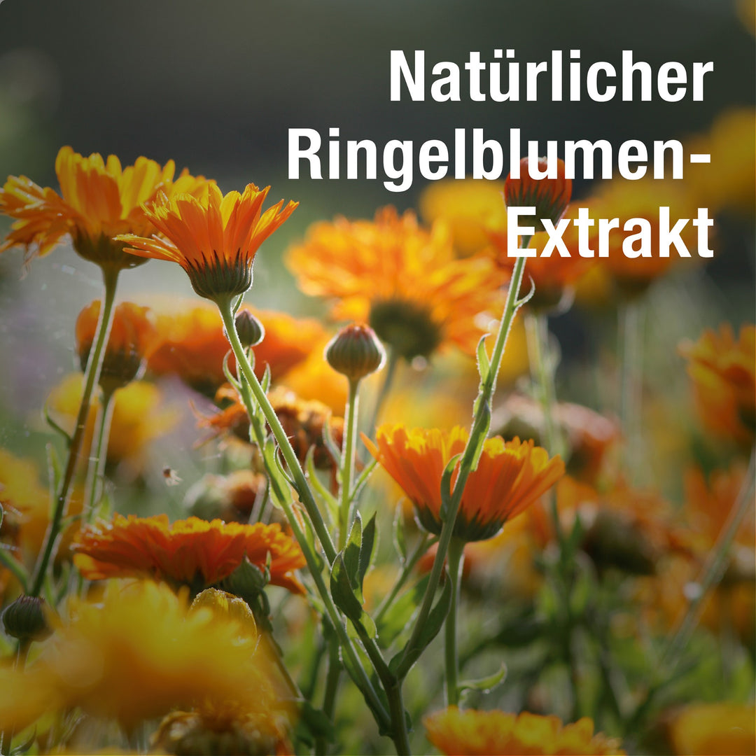 Ophta PLUS - Natürlicher Ringelblumen-Extrakt