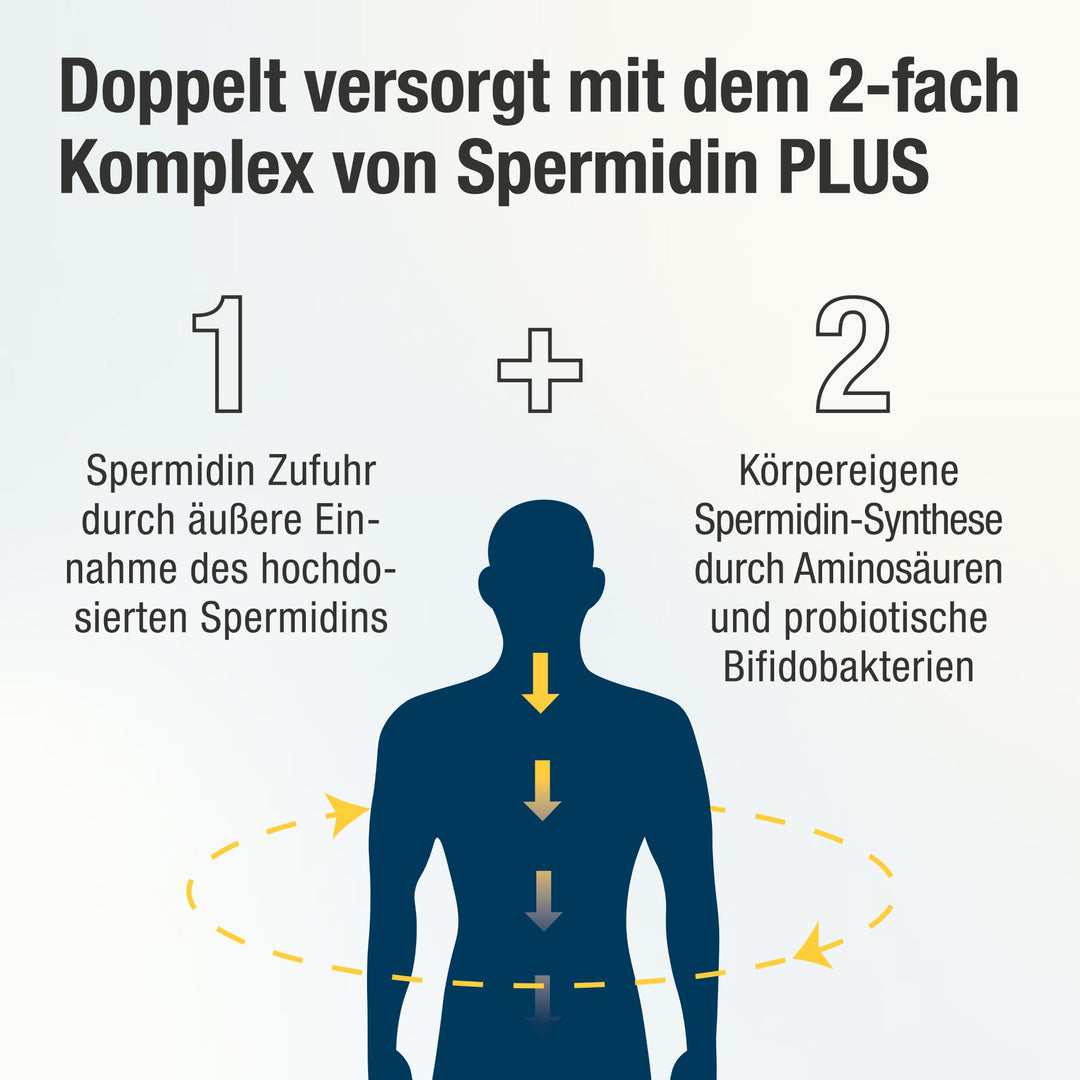 Spermidin PLUS 2-fach Komplex mit einer Person mit Pfeilen abgebildet