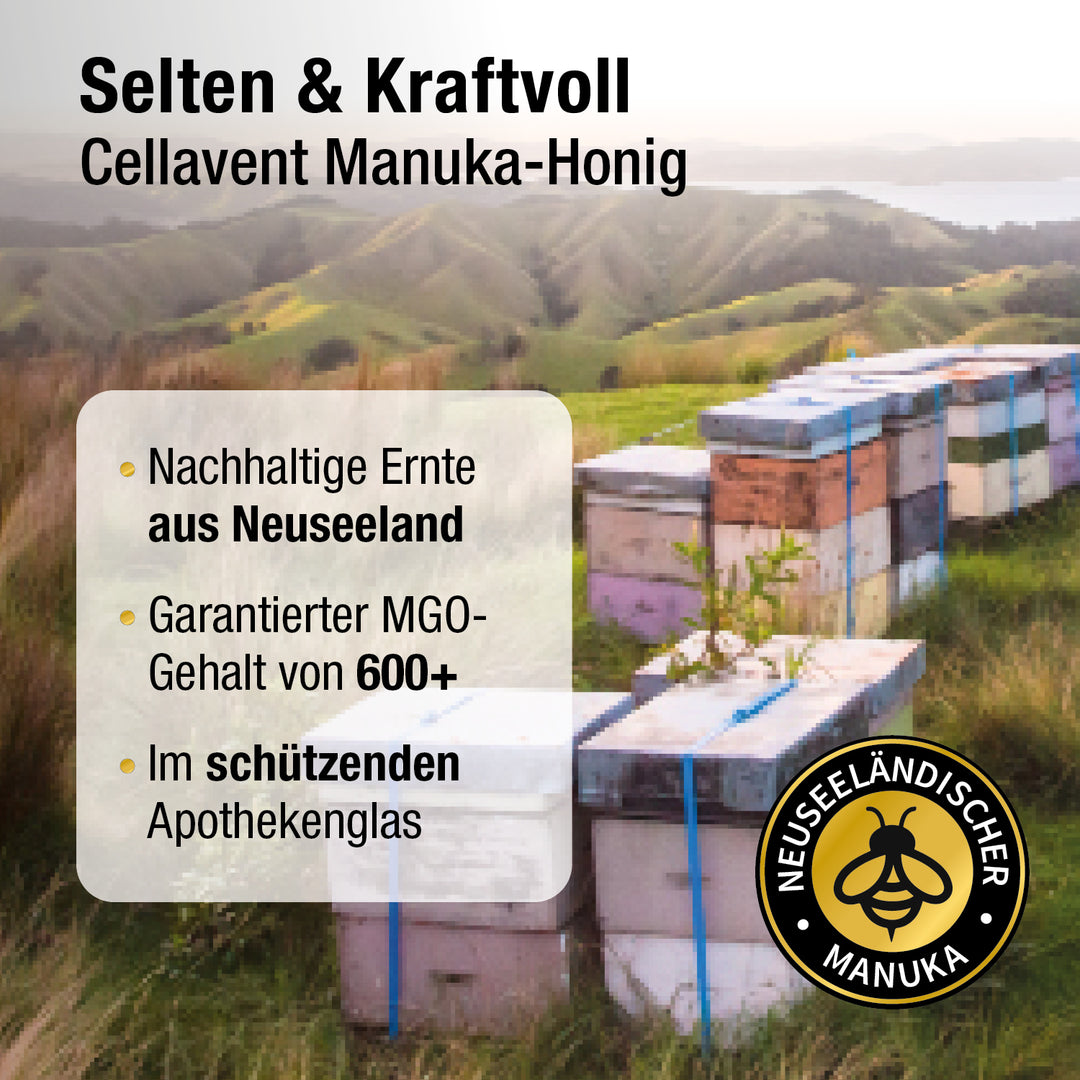 Selten und kraftvoll - Cellavent Manuka-Honig- Im Hintergrund eine neuseeländische Landschaft mit Bienen-Kästen.