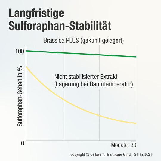 Langfristige Sulforaphan-Stabilität - Diagramm mit Vergleich des Sulforaphan-Gehalts in Brassica PLUS und nicht stabilisiertem Extrakt über 30 Monate.