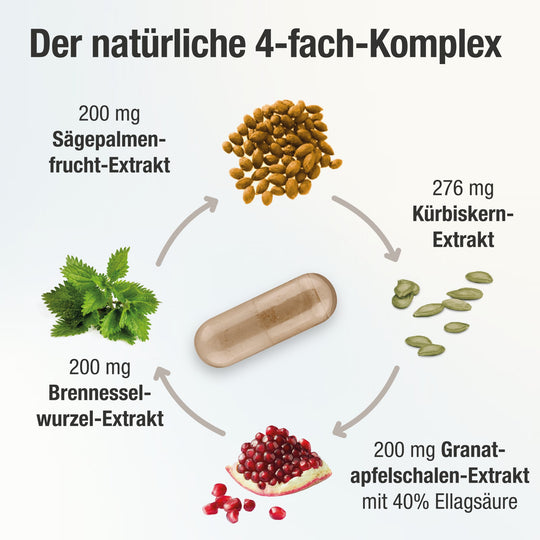 Prostavent PLUS 4-fach Komplex mit pflanzlichen Inhaltsstoffen