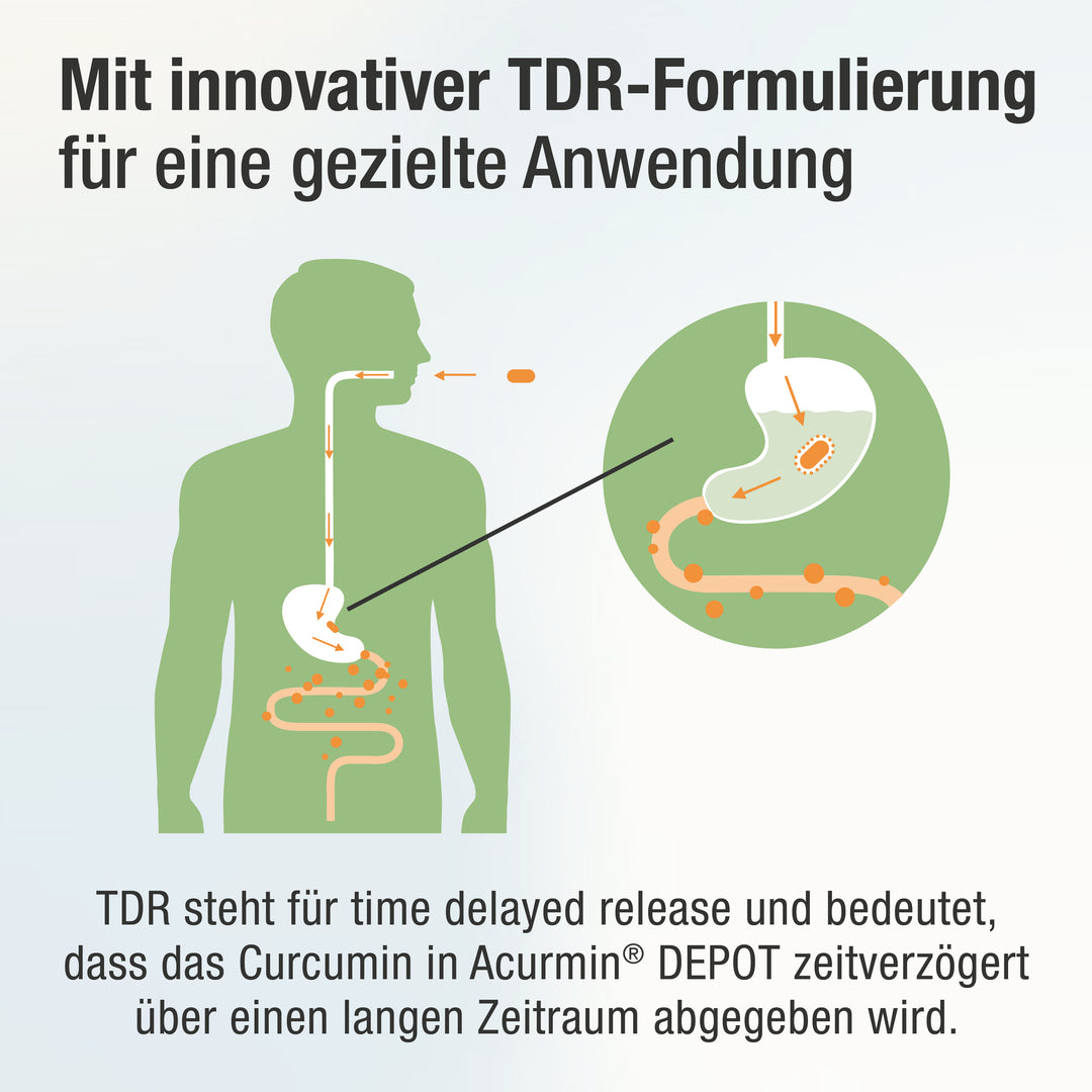 Abbildung von einem Menschen und der Speiseröhre und Darm. Im Magen befindet sich die Tablette von Acurmin DEPOT