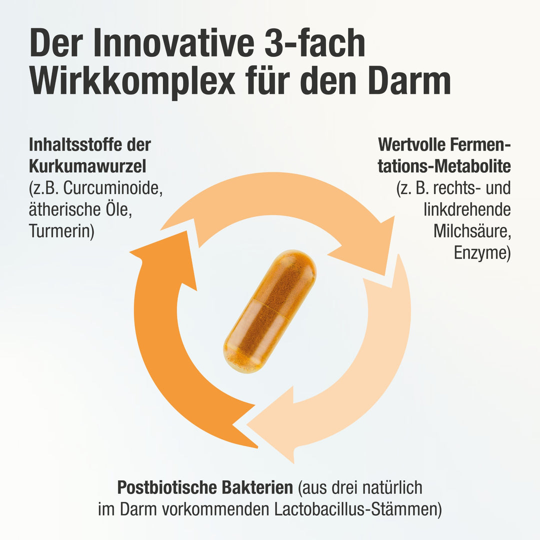 Acurmin ferment Kapseln 3-fach Wirkkomplex für einen gesunden Darm Darstellung