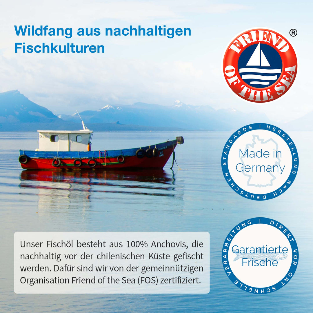 Auf dem Bild ist ein kleines Kutterboot am Meer, während rechts die Siegel, Friend of the Sea, Made in Germany und garantierte Fische abgebildet werden.