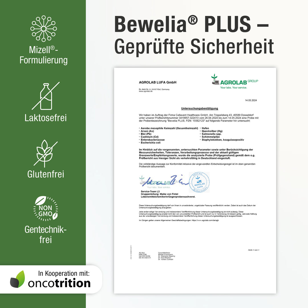 Bewelia PLUS Zertifikat mit Icons wie Mizell-Formulierung, Laktosefrei, Glutenfrei und Gentechnikfrei und  Oncotrition Logo