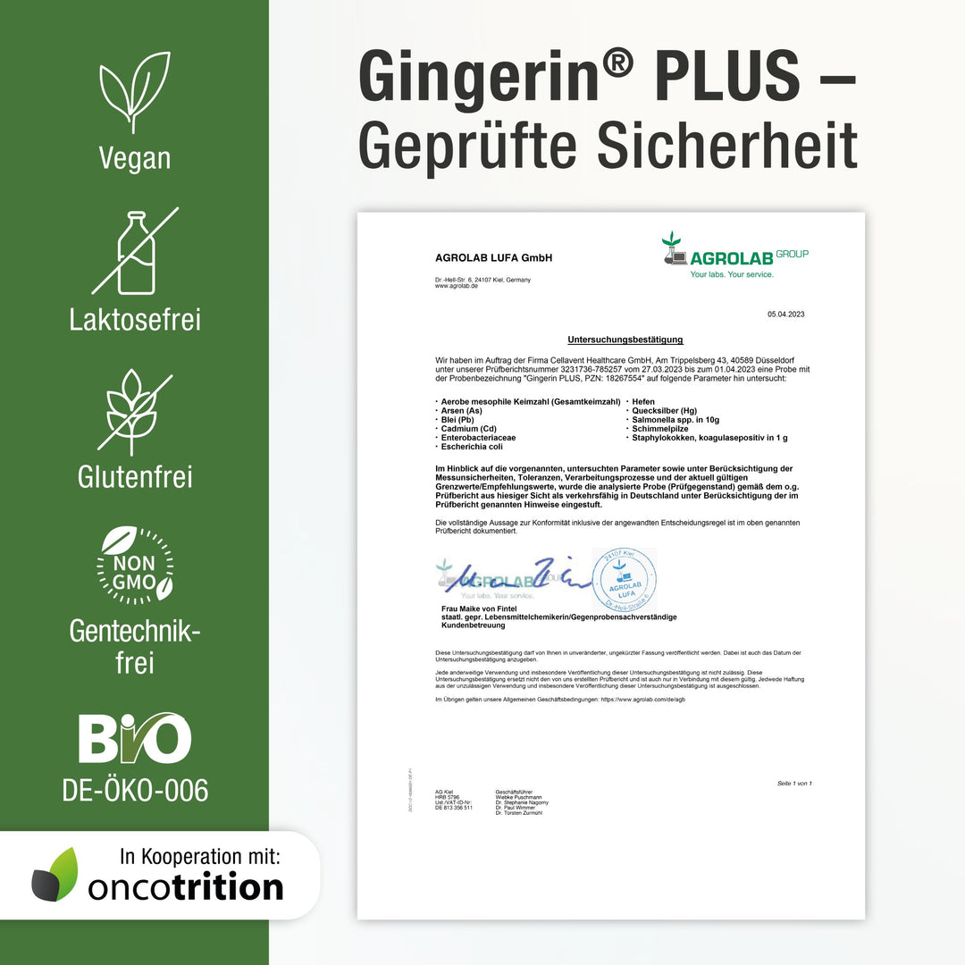 Geprüfte Sicherheit - Zertifikat für Gingerin PLUS,  links daneben Siegel, die die Qualität bestätigen. Entwickelt in Kooperation mit Oncotrition.