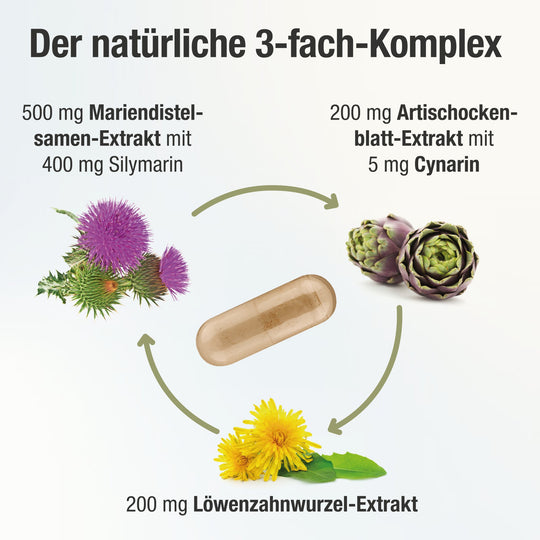 Natürlicher 3-fach-Komplex mit Mariendistel, Artischocken und Löwenzahn