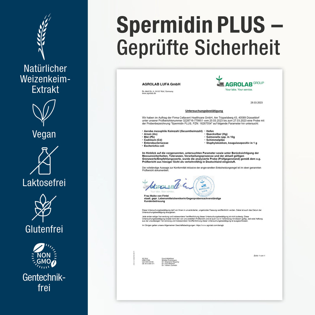 Spermidin PLUS Zertifikat mit Icons wie Natürlicher Weizenkeim-Extrakt, Vegan, Laktosefrei, Glutenfrei und ohne Gentechnik