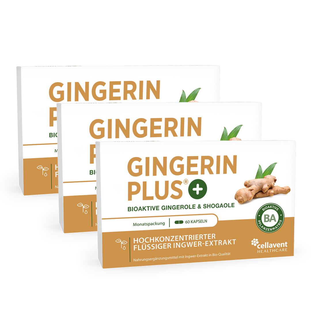 Gingerin PLUS 3er-Pack - drei mal Kapseln-Verpackung von vorne