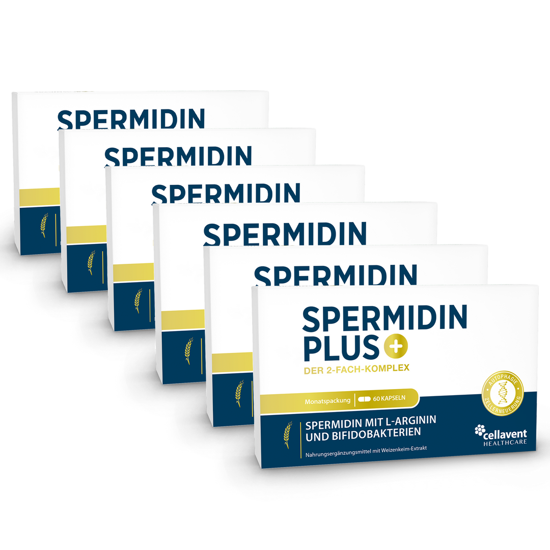 Spermidin PLUS 6er Produktverpackung Vorderseite