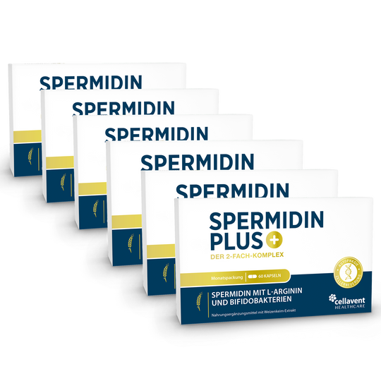 Spermidin PLUS 6er Produktverpackung Vorderseite