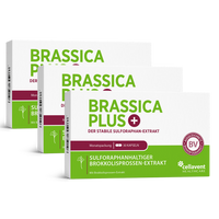 Sulforaphan Brokkoli Kapseln - Brassica PLUS - Cellavent Healthcare