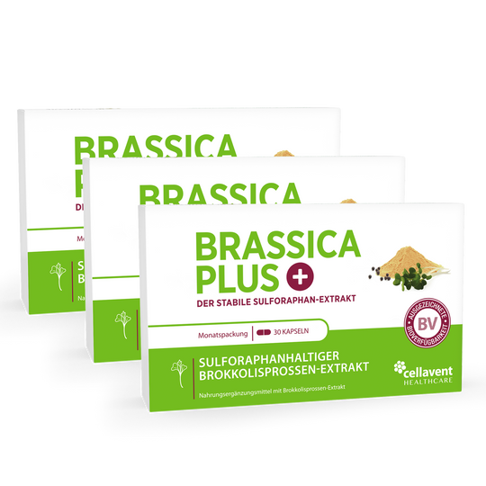 Brassica PLUS 3er-Pack - drei mal Kapseln-Verpackung von vorne.