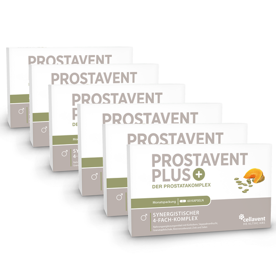 Prostavent PLUS 6er-Pack - sechs mal Kapseln-Verpackung von vorne