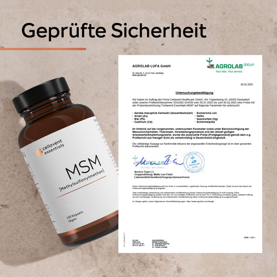 Geprüfte Sicherheit mit Zertifikat und essentials MSM Glas