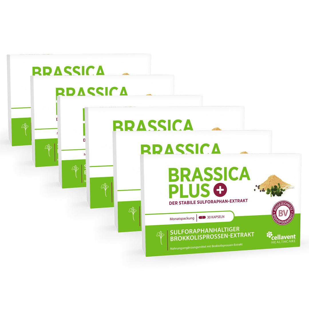 Brassica PLUS 6er-Pack - sechs mal Kapseln-Verpackung von vorne.