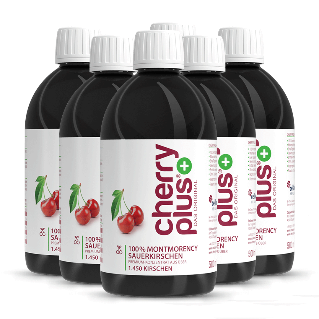 Montmorency Sauerkirschsaft Konzentrat - Cherry PLUS